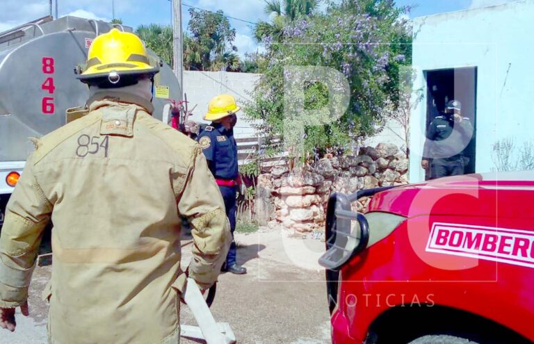 WhatsApp-Image-2022-03-02-at-4.02.45-PM