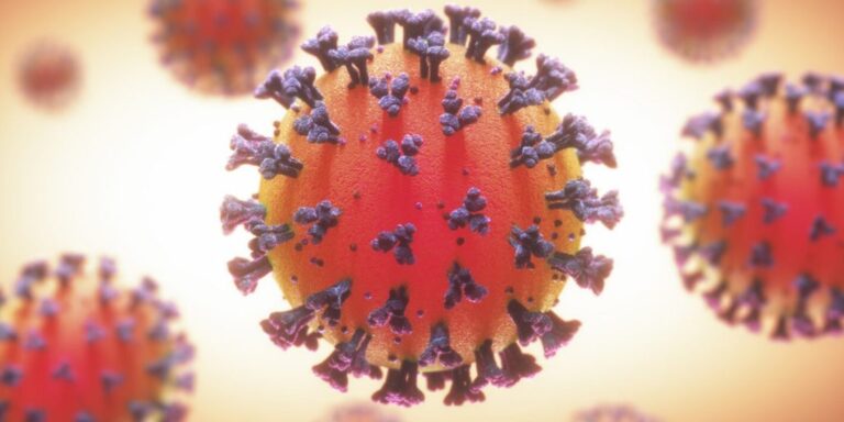 coronavirus