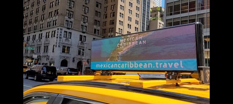 WhatsApp-Image-2022-05-12-at-11.54.33-AM