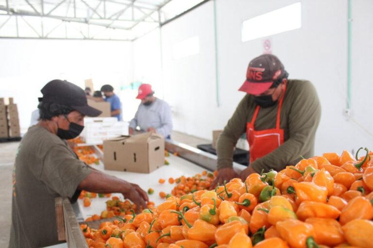 WhatsApp-Image-2022-05-20-at-2.03.55-PM