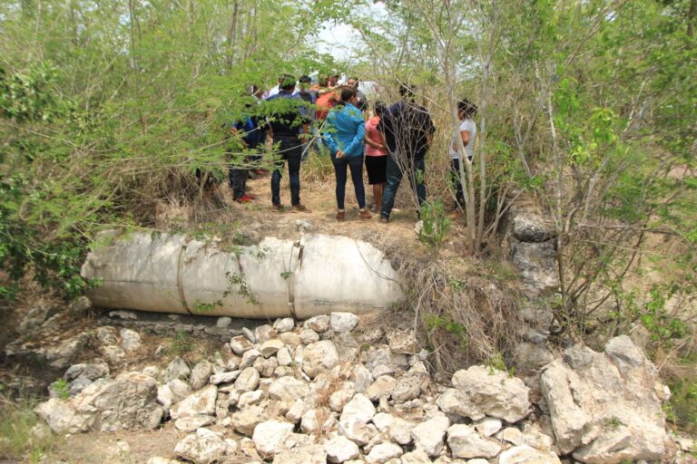 WhatsApp-Image-2022-05-20-at-9.02.04-AM