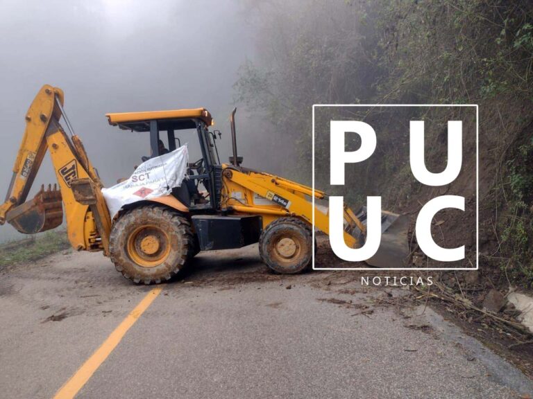 WhatsApp-Image-2022-06-05-at-1.10.15-PM