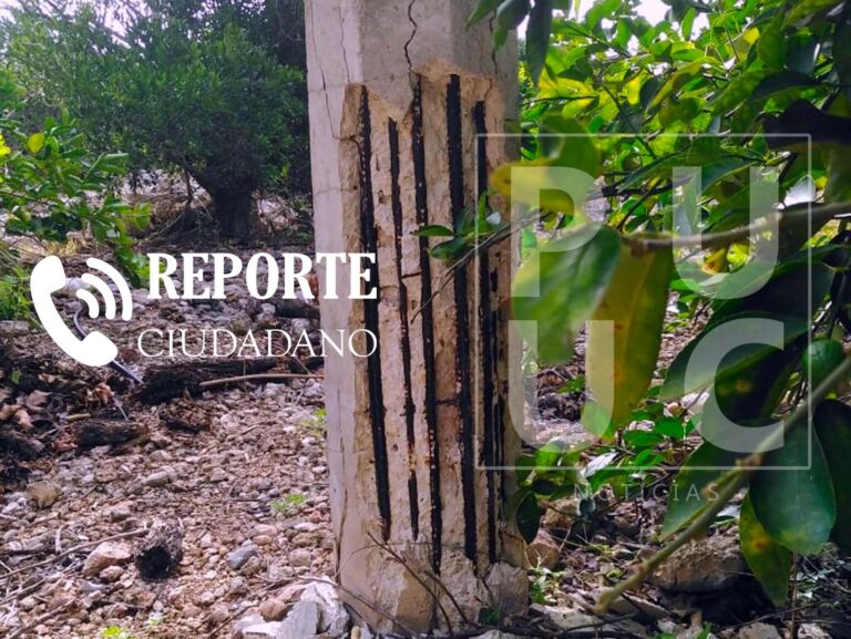 WhatsApp-Image-2022-07-20-at-2.05.40-PM-1