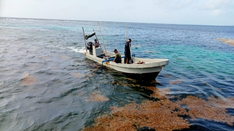 WhatsApp-Image-2022-09-22-at-8.36.39-PM