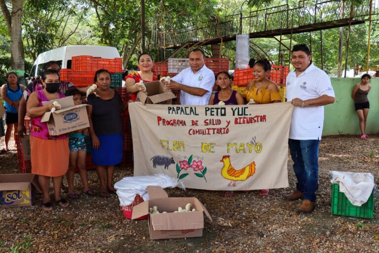 WhatsApp-Image-2022-11-29-at-5.25.04-PM