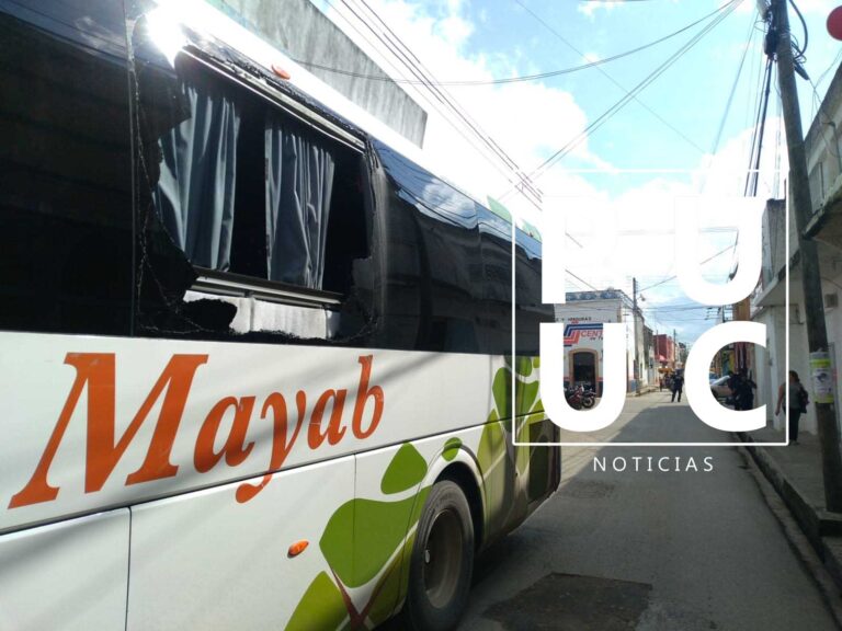 WhatsApp-Image-2022-12-01-at-10.25.46-AM