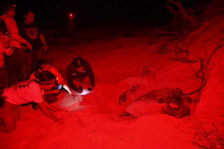 WhatsApp-Image-2023-01-24-at-12.26.13-PM