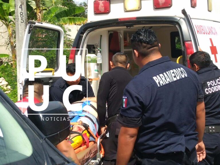 WhatsApp-Image-2023-02-15-at-2.36.37-PM