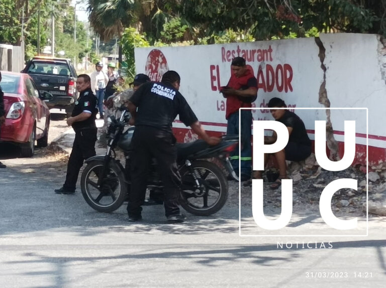 WhatsApp-Image-2023-03-31-at-5.42.04-PM-1