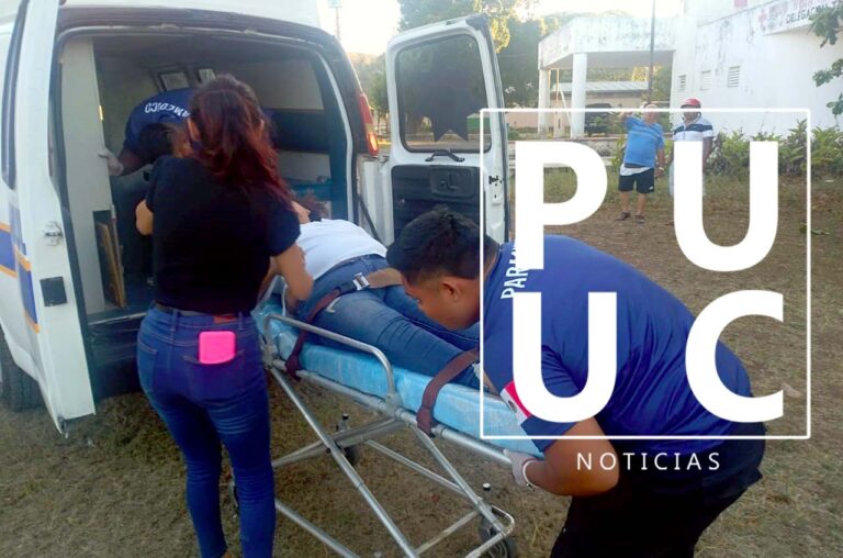 WhatsApp-Image-2023-04-03-at-6.06.18-PM