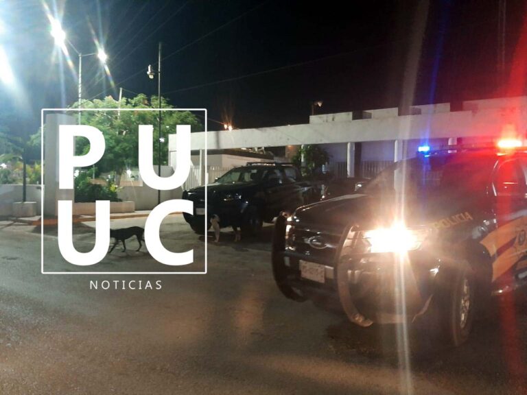 WhatsApp-Image-2023-04-05-at-7.40.07-PM