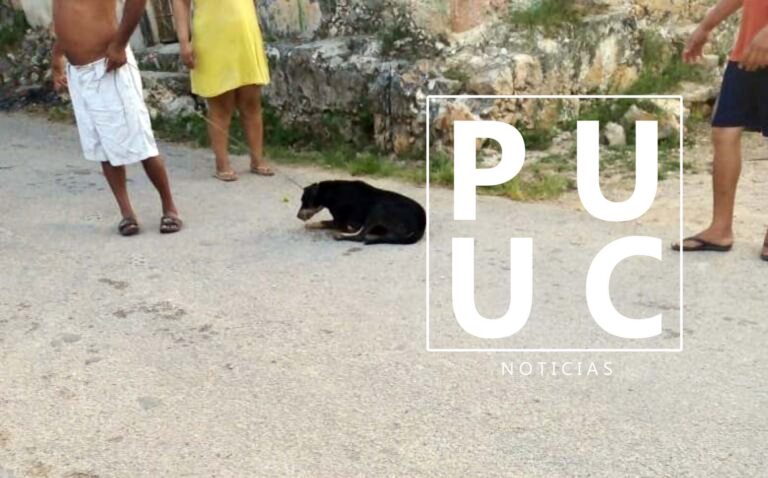 WhatsApp-Image-2023-04-05-at-8.44.40-AM-3