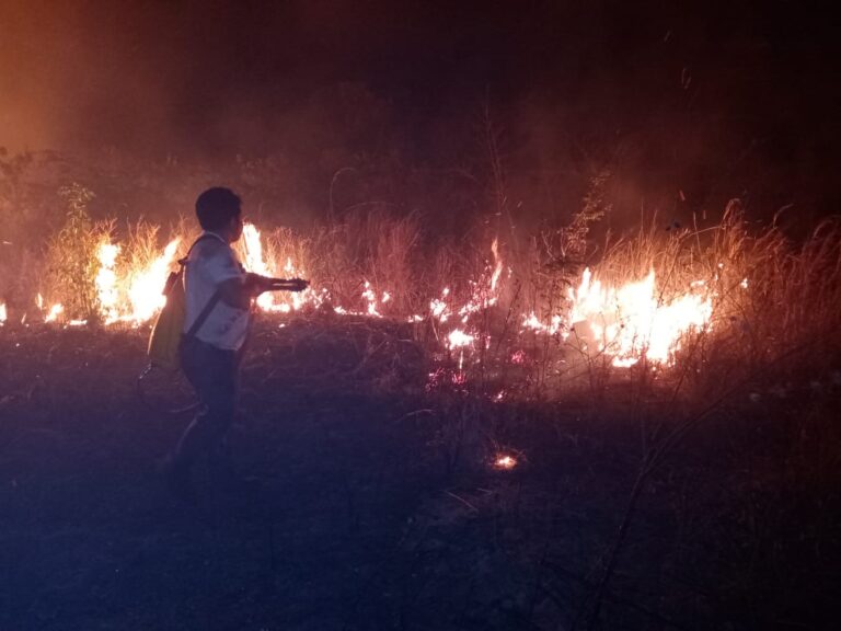 WhatsApp-Image-2023-04-16-at-10.04.35-PM