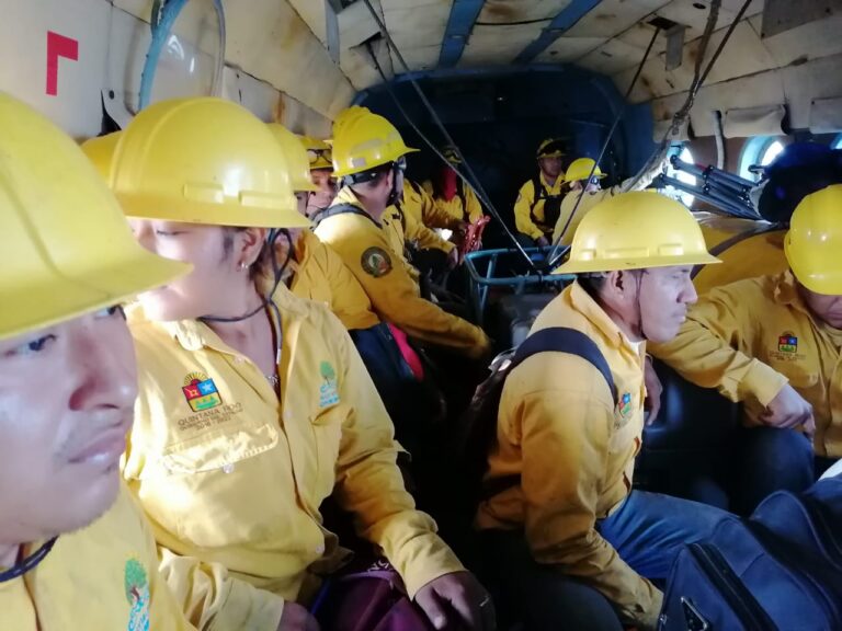 COEPROC-Incendios-05