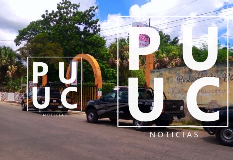 WhatsApp-Image-2023-08-01-at-1.33.39-PM