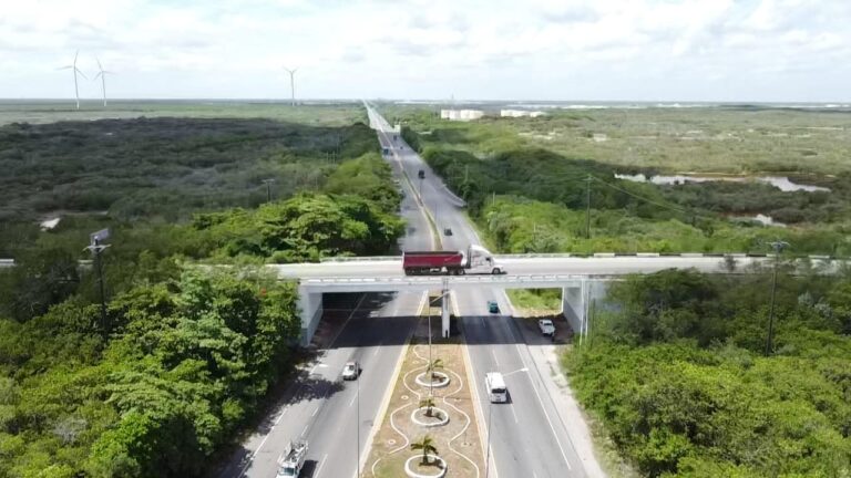 WhatsApp-Image-2023-08-08-at-2.43.29-PM