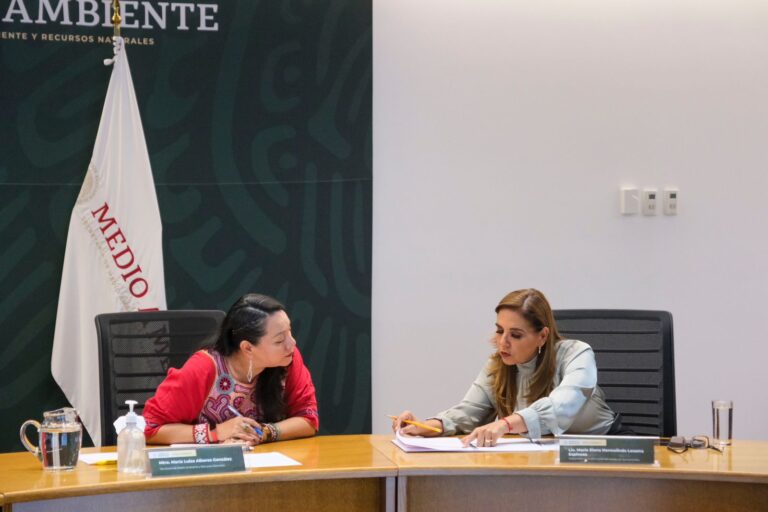 WhatsApp-Image-2023-08-08-at-9.29.35-AM-2