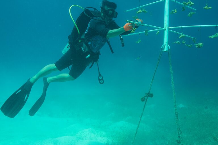 WhatsApp-Image-2023-08-16-at-5.16.28-PM