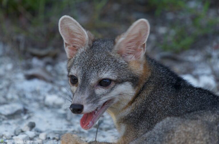 WhatsApp-Image-2023-09-16-at-12.01.53-PM