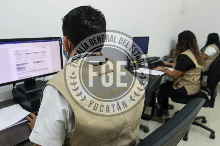 fiscalia ciberneticos