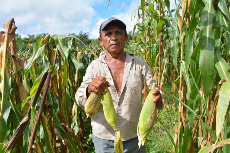 WhatsApp-Image-2023-10-10-at-3.56.50-PM-1