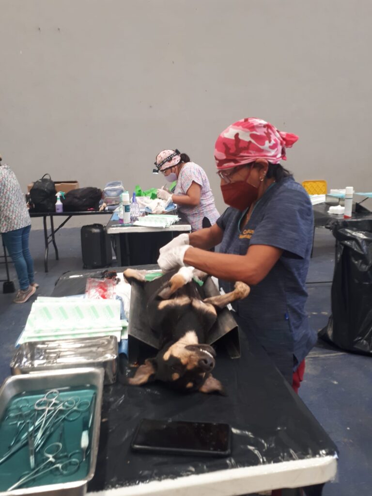 whatsapp-image-2024-03-20-at-1.06.55-pm