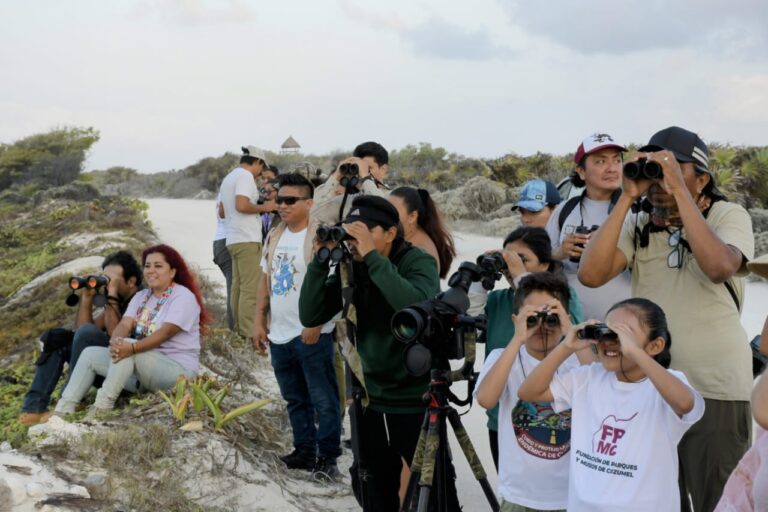 imagen-de-whatsapp-2024-05-13-a-las-11.53.26_ca32b74b