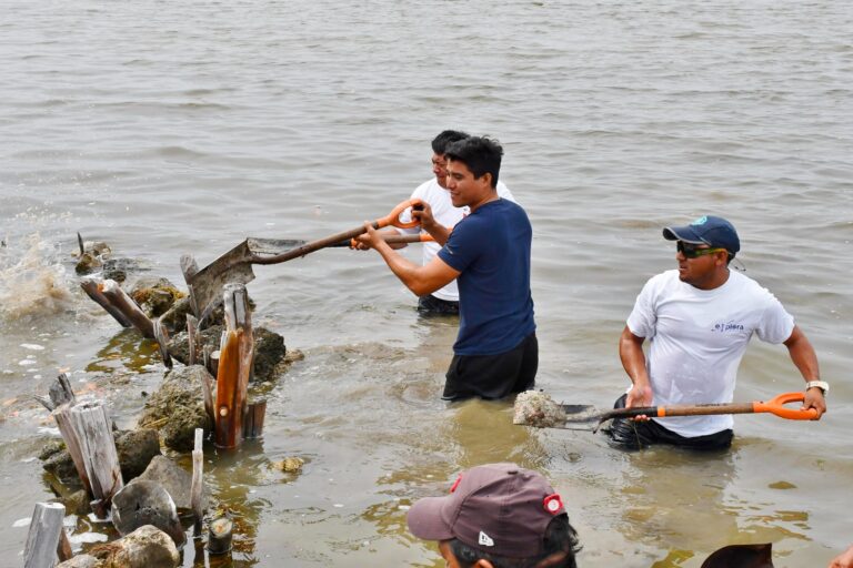 whatsapp-image-2024-06-17-at-1.59.56-pm-1