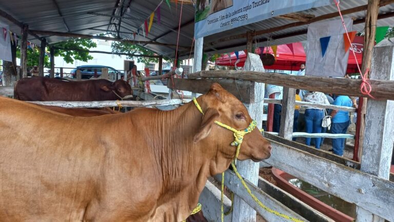 whatsapp-image-2024-09-14-at-8.48.09-pm