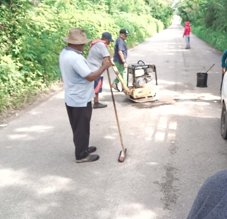 whatsapp-image-2024-09-30-at-12.49.40-pm