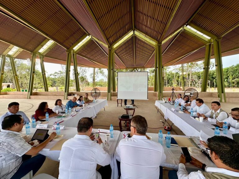 whatsapp-image-2024-10-13-at-11.39.39