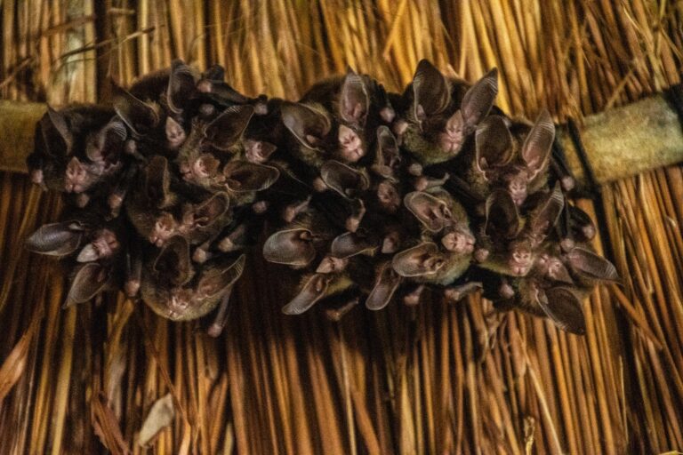 whatsapp-image-2024-10-15-at-3.46.51-pm