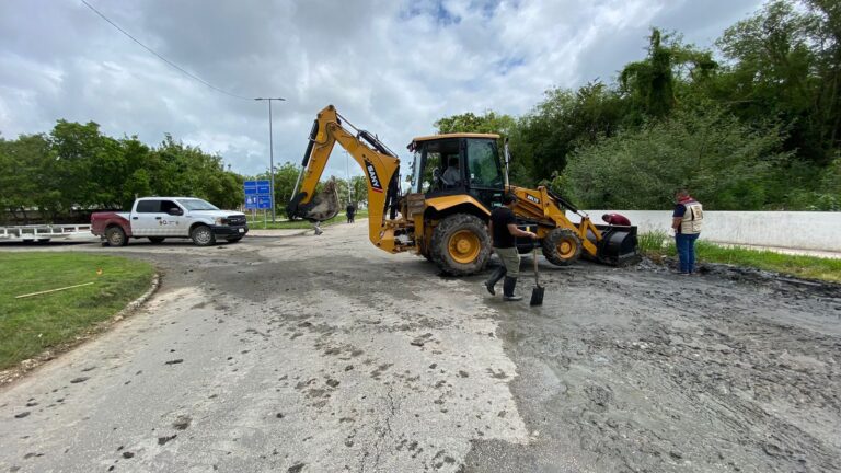 whatsapp-image-2024-10-18-at-3.28.55-pm