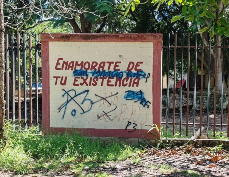 whatsapp-image-2024-10-26-at-1.14.43-am