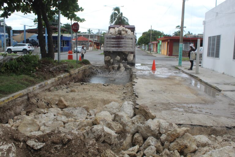 whatsapp-image-2024-10-29-at-1.45.06-pm-1