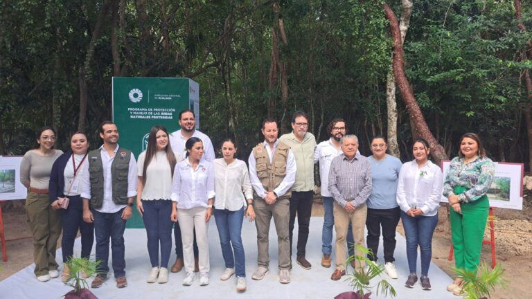 whatsapp-image-2024-11-08-at-6.35.42-pm