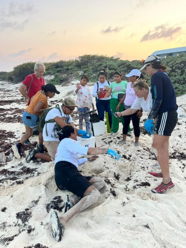 whatsapp-image-2024-11-13-at-12.05.24-pm-5