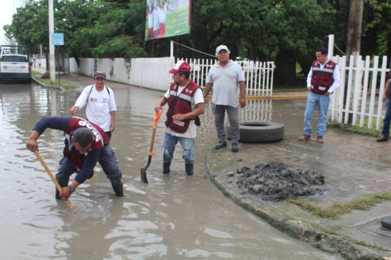 whatsapp-image-2024-11-15-at-3.33.09-pm-1