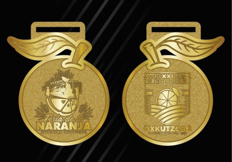 whatsapp-image-2024-11-18-at-11.13.54-am