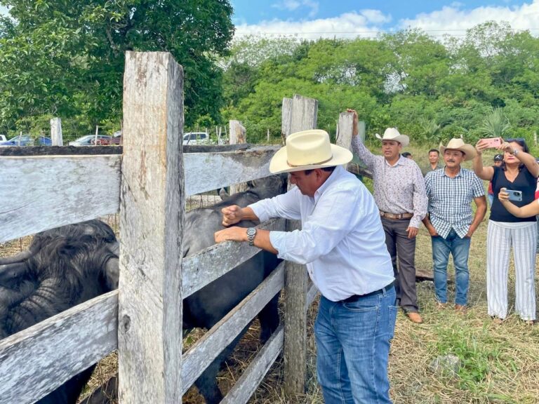 whatsapp-image-2024-11-22-at-12.59.00-pm