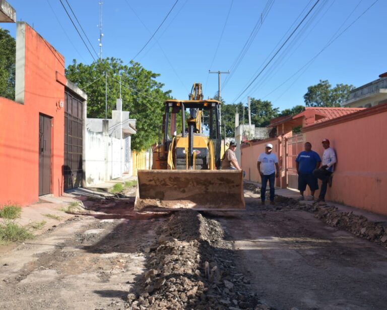 whatsapp-image-2024-11-24-at-12.37.52-pm