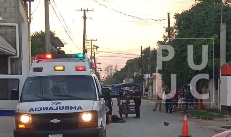 whatsapp-image-2024-12-02-at-8.20.04-pm