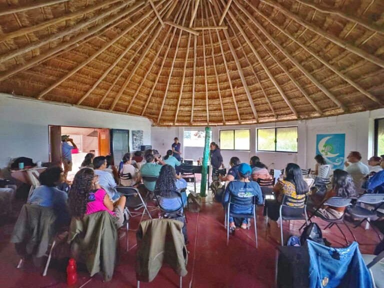 whatsapp-image-2024-12-05-at-11.45.23-am-1