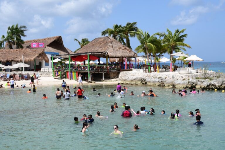 whatsapp-image-2024-12-06-at-1.33.15-pm-2