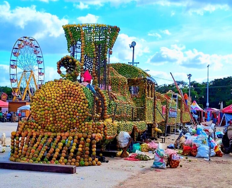 whatsapp-image-2024-12-06-at-1.34.06-pm