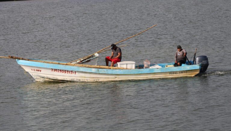 whatsapp-image-2024-12-13-at-11.48.55-am-1