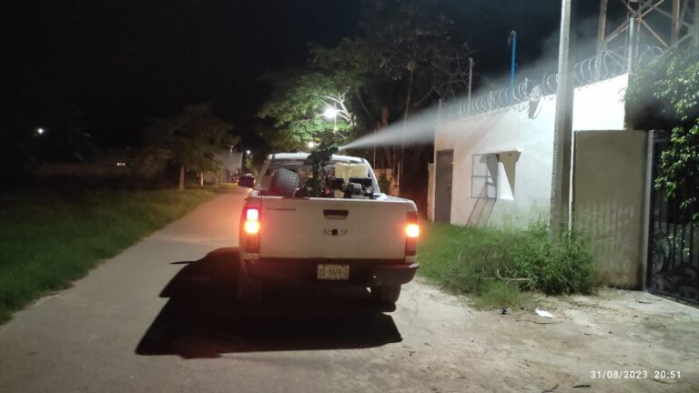 whatsapp-image-2024-12-23-at-11.11.31-am