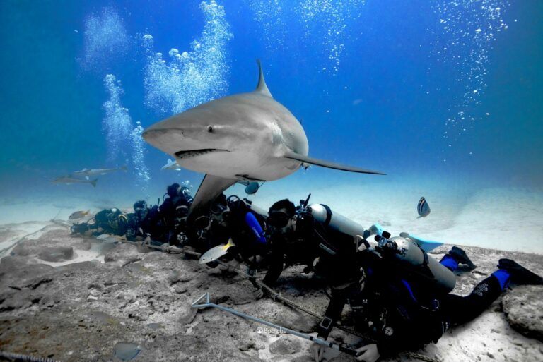 whatsapp-image-2025-05-12-at-1.38.49-pm