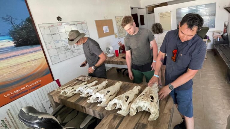 whatsapp-image-2025-05-28-at-1.02.29-pm-5