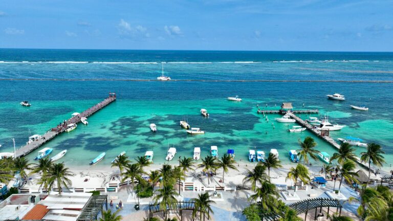 whatsapp-image-2025-06-17-at-12.36.59-pm